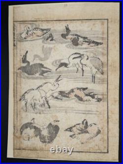1880s Hokusai Manga Vol. 1 8 Loose Woodblock Prints Tigers, Birds, Botanicals