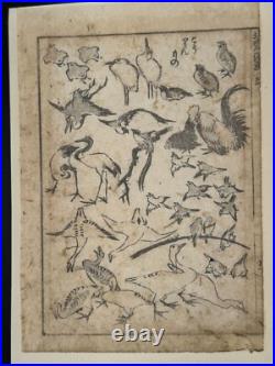 1880s Hokusai Manga Vol. 1 8 Loose Woodblock Prints Tigers, Birds, Botanicals