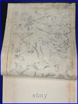 1880s Hokusai Manga Vol. 1 8 Loose Woodblock Prints Tigers, Birds, Botanicals