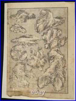 1880s Hokusai Manga Vol. 1 8 Loose Woodblock Prints Tigers, Birds, Botanicals
