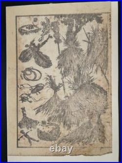 1880s Hokusai Manga Vol. 1 8 Loose Woodblock Prints Tigers, Birds, Botanicals