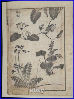 1880s Hokusai Manga Vol. 1 8 Loose Woodblock Prints Tigers, Birds, Botanicals