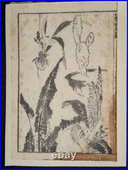 1880s Hokusai Manga Vol. 1 8 Loose Woodblock Prints Tigers, Birds, Botanicals