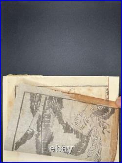 1880s Hokusai Manga Vol. 1 8 Loose Woodblock Prints Tigers, Birds, Botanicals