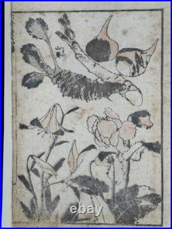 1880s Hokusai Manga Vol. 1 8 Loose Woodblock Prints Tigers, Birds, Botanicals