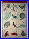 1891_Japanese_Meiji_Woodblock_Print_Animals_Kindergarten_Kirigami_Educational_01_nz