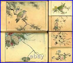 1903 Birds 50 Pictures by Haruna KInzan Japanese Original Woodblock Print Book