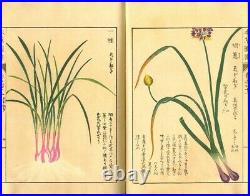 1918 Honzo Zufu Bulbs by Iwasaki Tsunemasa Japan Original Woodblock Print Book
