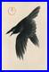 1920_s_Antique_Japanese_Woodblock_Print_Angry_Diving_Crow_01_ilgp