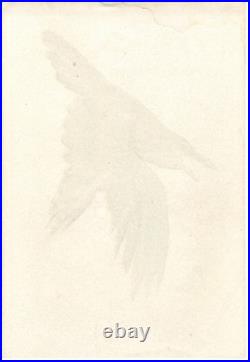 1920's Antique Japanese Woodblock Print Angry Diving Crow