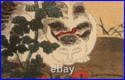 1920's Itcho Hanabusa A White Cat Japanese Woodblock Print (reprint), Framed