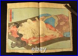 7 Original Antique Japanese Shunga Woodblock Double Book Page Print Prints