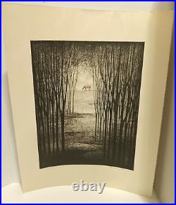 Akemi Inagaki Japanese The Horse Woodblock Print Modernist Signed LE 80/100 1972