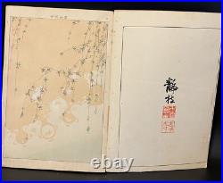 Antipue Japanese Woodblock Print Book Kimono Hinagata Textile Pattern swatch