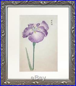 Antique Embossed Japanese Woodblock Print of Iris Flower Signed