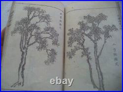 Antique Illustrated Japanese Woodblock Print-ed Book Kawamura Bunpo KANGA SHINAN