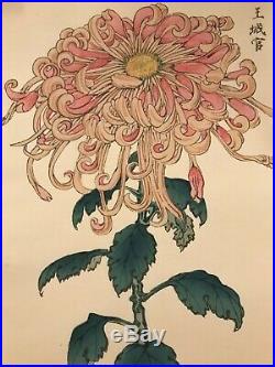 Antique JAPANESE woodblock print flower art collectible design book painting