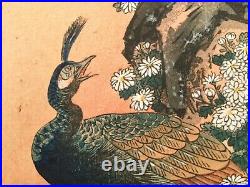 Antique Japanese Woodblock Print Courting Peacocks