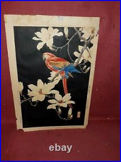 Antique Japanese Woodblock Print with Parrot As Is