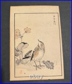 Antique Kono Bairei Album of One Hundred Birds Woodblock Print Bird Primroses