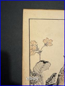 Antique Kono Bairei Album of One Hundred Birds Woodblock Print Bird Primroses