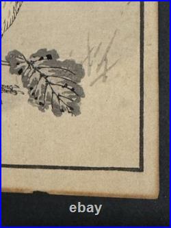 Antique Kono Bairei Album of One Hundred Birds Woodblock Print Bird Primroses