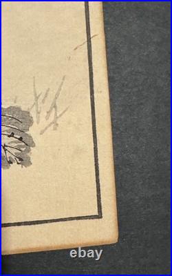 Antique Kono Bairei Album of One Hundred Birds Woodblock Print Bird Primroses