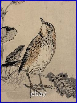 Antique Kono Bairei Album of One Hundred Birds Woodblock Print Bird Primroses