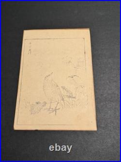 Antique Kono Bairei Album of One Hundred Birds Woodblock Print Bird Primroses
