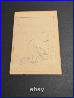 Antique Kono Bairei Album of One Hundred Birds Woodblock Print Bird Primroses