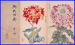 Antique Original Japan Woodblock Keika Hasegawa Chrysanthemum Flowers, 50 Prints
