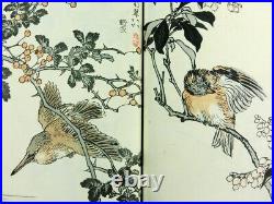 Birds & Flowers by Bairei, Japanese Woodblock Print Book Haykuchogafu Meiji 179