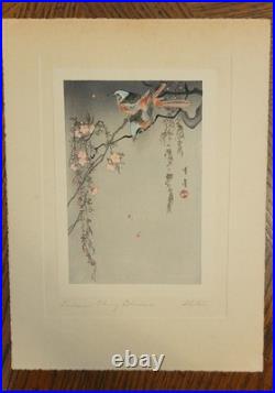 Birds on Cherry Blossoms, by Watanabe Shotei (Japanese Painter) Woodblock Print