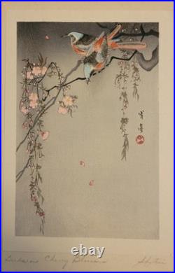 Birds on Cherry Blossoms, by Watanabe Shotei (Japanese Painter) Woodblock Print