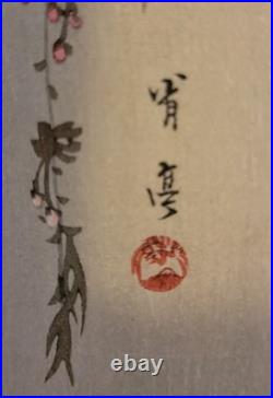 Birds on Cherry Blossoms, by Watanabe Shotei (Japanese Painter) Woodblock Print