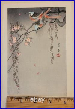 Birds on Cherry Blossoms, by Watanabe Shotei (Japanese Painter) Woodblock Print