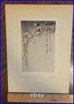 Birds on Cherry Blossoms, by Watanabe Shotei (Japanese Painter) Woodblock Print