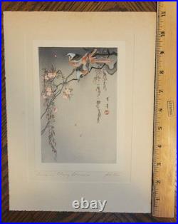 Birds on Cherry Blossoms, by Watanabe Shotei (Japanese Painter) Woodblock Print