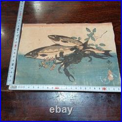 Edo Period Ukiyo-E Woodblock Print Hiroshige Utagawa Full Of Fish