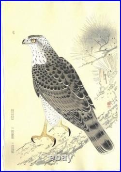 Fukuda Suiko Hawk Japanese Woodblock Print Taisho Echizen Washi Ukiyo-e Art