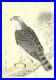 Fukuda_Suiko_Hawk_Japanese_Woodblock_Print_Taisho_Echizen_Washi_Ukiyo_e_Art_01_ww