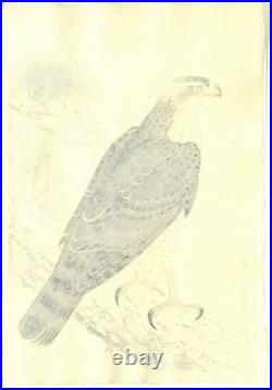 Fukuda Suiko Hawk Japanese Woodblock Print Taisho Echizen Washi Ukiyo-e Art