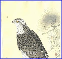 Fukuda Suiko Hawk Japanese Woodblock Print Taisho Echizen Washi Ukiyo-e Art