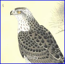 Fukuda Suiko Hawk Japanese Woodblock Print Taisho Echizen Washi Ukiyo-e Art