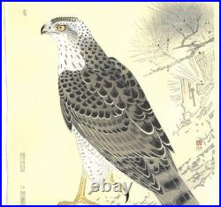 Fukuda Suiko Hawk Japanese Woodblock Print Taisho Echizen Washi Ukiyo-e Art