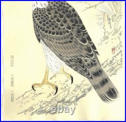 Fukuda Suiko Hawk Japanese Woodblock Print Taisho Echizen Washi Ukiyo-e Art