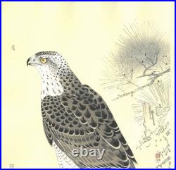 Fukuda Suiko Hawk Japanese Woodblock Print Taisho Echizen Washi Ukiyo-e Art