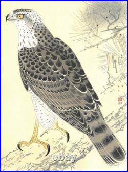 Fukuda Suiko Hawk Japanese Woodblock Print Taisho Echizen Washi Ukiyo-e Art