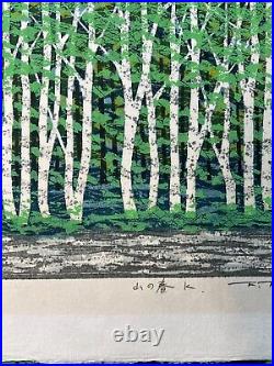 Fumio Fujita original Woodblock print spring of mountain 1994 74/200 Signed
