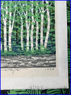 Fumio Fujita original Woodblock print spring of mountain 1994 74/200 Signed